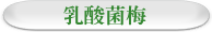 乳酸菌梅